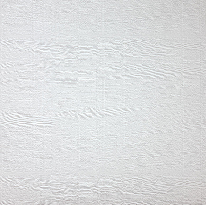 Commercial Steel Finish Flush Woodgrain