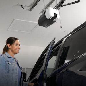 LiftMaster 2220L g4
